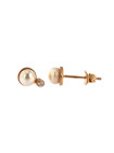 Rose gold pearl earrings BRP01-05-04 