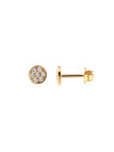 Yellow gold stud zirconia earrings BGV06-02-07 