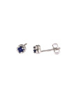 White gold sapphire earrings BBBR02-03-08 