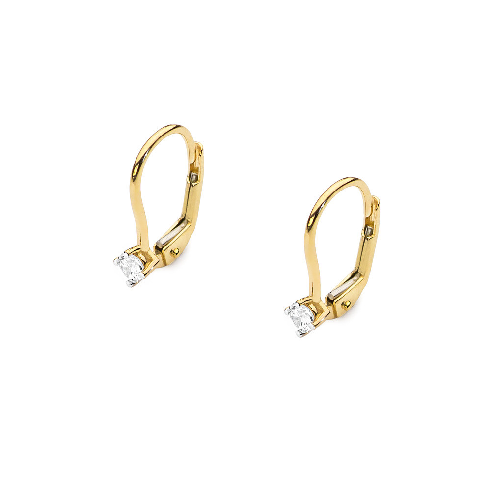 Geltono aukso auskarai su briliantais BGBR02-05-03 0.08ct